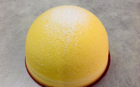 お菓子 杜のズコット [AIDA002] お菓子