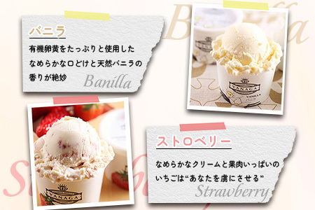 アイス ご当地アイス12個とアイス専用スプーン（ゴールド1本）の13点セット [AICN001] アイス