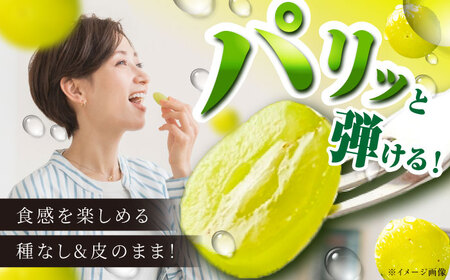 【2026年先行予約】【8月初旬頃から順次発送】シャインマスカット 2房 約800g [AIAA002] ぶどう