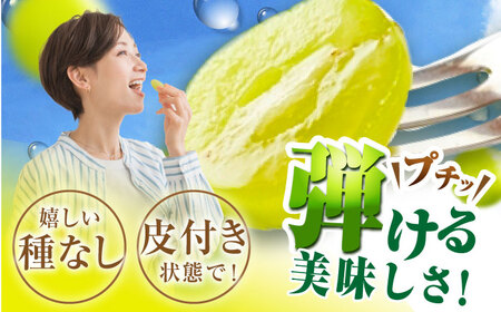 【2026年先行予約】【30個限定】【ご自宅用】シャインマスカット 2房（約1kg） [AIAB002] 