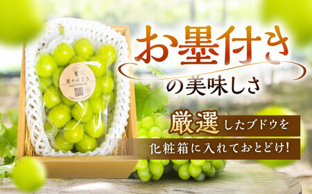  【2026年先行予約】【15個限定】【贈答用】シャインマスカット 1房（約500g） [AIAB003] 