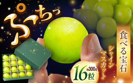 マスカット 【2026年先行予約】【25個限定】シャインマスカット ジュエリーBOX 16粒(約300g) [AIAB009] マスカット