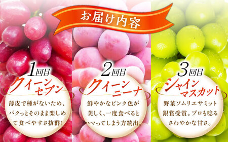 ぶどう 【全3回定期便】【2026年先行予約】【30個限定】【秀品】イチオシ3品種 各2房 [AIAB010] ぶどう