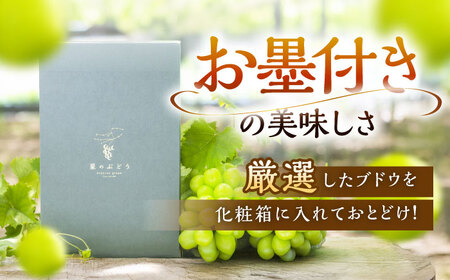 ぶどう 【全3回定期便】【2026年先行予約】【30個限定】【秀品】イチオシ3品種 各2房 [AIAB010] ぶどう