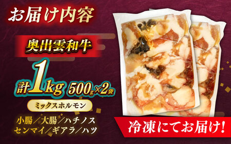 牛肉 【奥出雲和牛】ミックスホルモン  500g×2袋[AIBQ009] 牛肉