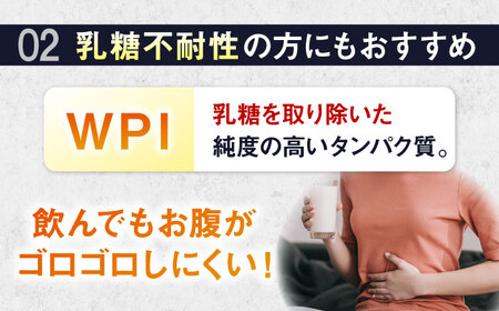 【アルプロン】プロテイン ALPRON PRO WPI ダブルリッチチョコレート 900g WPIプロテイン [AIAL070]
