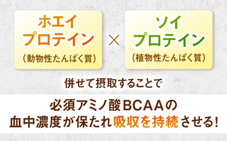 【アルプロン】プロテイン NATURAL WHEY＆SOY ダブルリッチチョコレート 750g ホエイソイプロテイン [AIAL080]