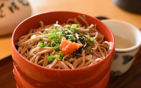 そば こだわり出雲十割そば(雲龍袋) 8食セット [AIAM002]