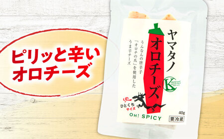 チーズ ヤマタノオロチーズ 1個 40g [AIBH020]