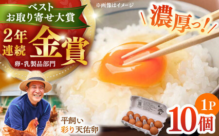 卵 彩り天佑卵 10個入り [AIDL006] 卵