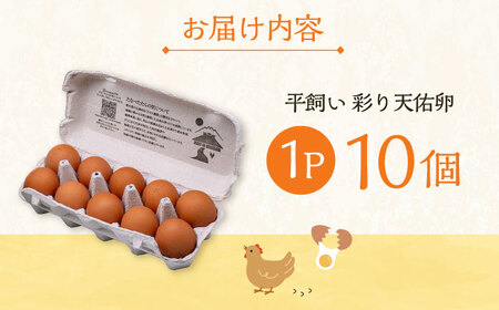 卵 彩り天佑卵 10個入り [AIDL006] 卵