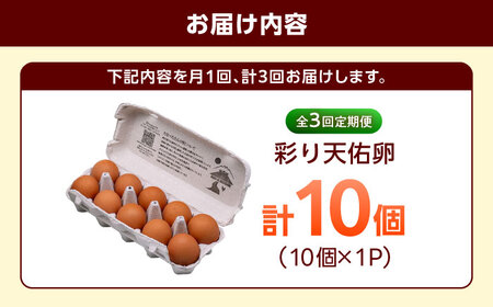 【全3回定期便】彩り天佑卵 平飼いたまご 10個 卵 [AIDL007] 