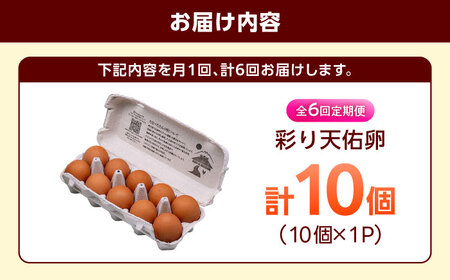 卵 【全6回定期便】彩り天佑卵 10個入り[AIDL008] 卵