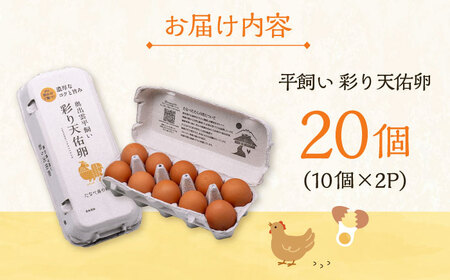 卵 彩り天佑卵 20個入り [AIDL011] 卵