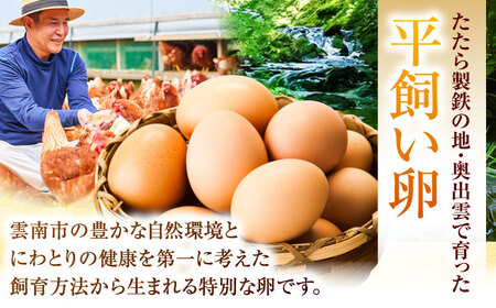 卵 【全6回定期便】彩り天佑卵 20個入り [AIDL013] 卵