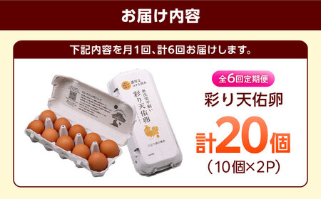 卵 【全6回定期便】彩り天佑卵 20個入り [AIDL013] 卵