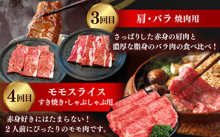 和牛 【全5回定期便】しまね和牛 寄附額10万円分 計2kg  [AIDI017] 和牛