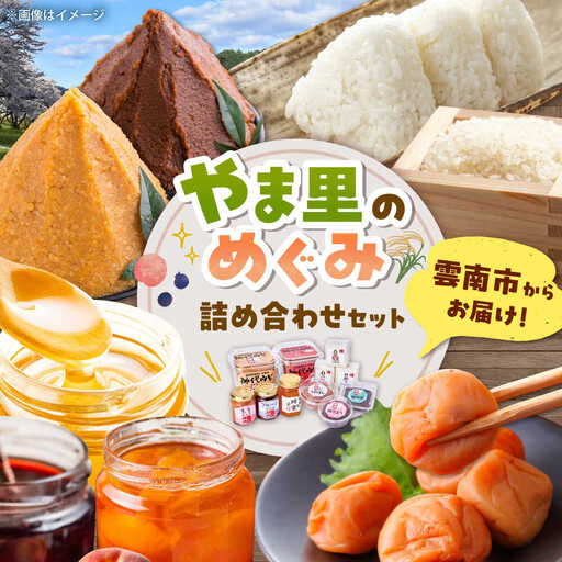 米 「やま里の恵み」詰合セット [AICC002] 米