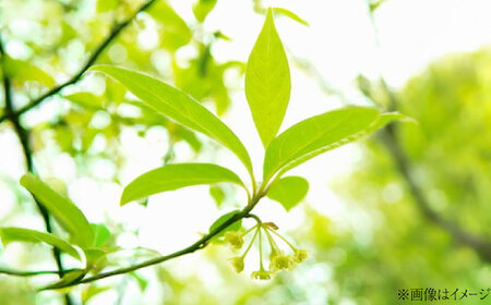 香水 クロモジ芳香蒸留水 100ml×1本[AICY008] 香水