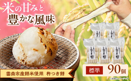 杵つき餅（丸餅）860g×5袋 [AIEG004]