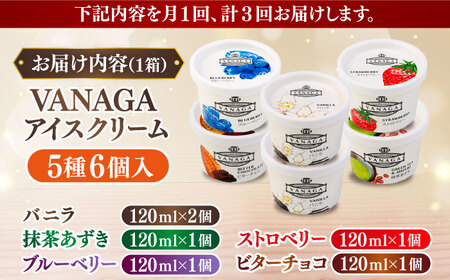 アイス 【全3回定期便】5種類のアイスクリーム6個入[AIBH026]