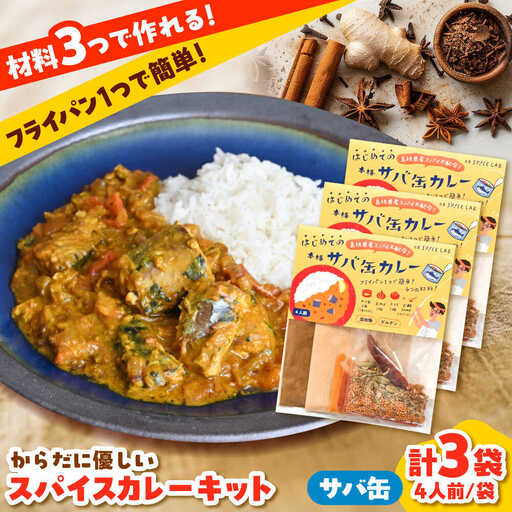 カレー サバ缶カレーキット 4人分×3セット [AIAD008] カレー