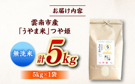 無洗米 つや姫 雲南市吉田町産 5kg[AIDB092] 無洗