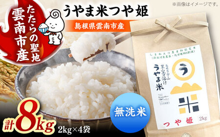 【無洗米】吉田町・宇山地区 つや姫 8kg 無洗 [AIDB093]