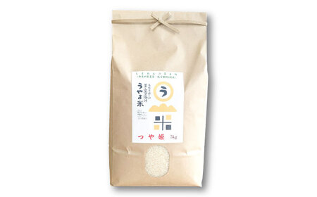 【3回定期便】無洗米 令和7年産 つや姫 5kg[AIDB095] 無洗