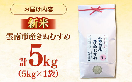 米 雲南市産きぬむすめ 5kg  [AIDB099] 