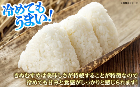 【全3回定期便】雲南市産きぬむすめ 10kg（5kg×2袋）[AIDB103] きぬむすめ