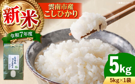 【令和7年産】雲南市産米 コシヒカリ 白米 5㎏（5㎏×1袋）精米 [AIDB105] 