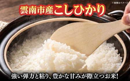 【令和7年産】雲南市産米 コシヒカリ 白米 5㎏（5㎏×1袋）精米 [AIDB105] 