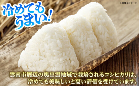 【令和7年産】雲南市産米 コシヒカリ 白米 5㎏（5㎏×1袋）精米 [AIDB105] 