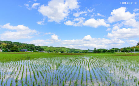 【令和7年産】雲南市産米 コシヒカリ 白米 5㎏（5㎏×1袋）精米 [AIDB105] 
