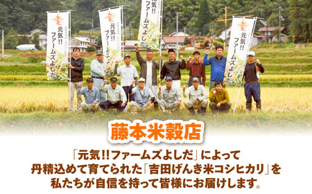 吉田げんき米つや姫 10kg（5kg×2袋) [AIDB124]