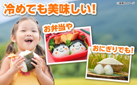 【全3回定期便】吉田げんき米つや姫 10kg（5kg×2袋）[AIDB127]