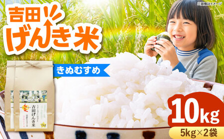 吉田げんき米きぬむすめ 10kg（5kg×2袋）[AIDB130]