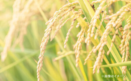 お米大月谷コウノトリやすらぎ米 2kg [AIDB134]