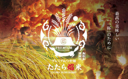 【ふるなびWEEK対象】【3回定期便】プレミアムつや姫 2kg [AIBR016] FN-Limited-PR