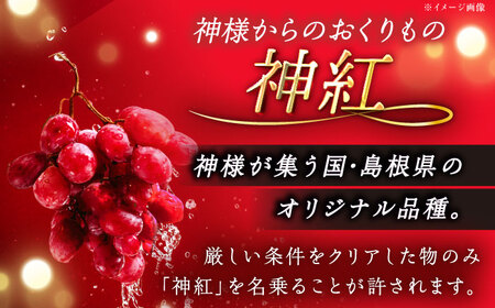 【2026年8月初旬頃から順次発送】【訳あり】神紅・シャインマスカット 各1房 [AIAA005]