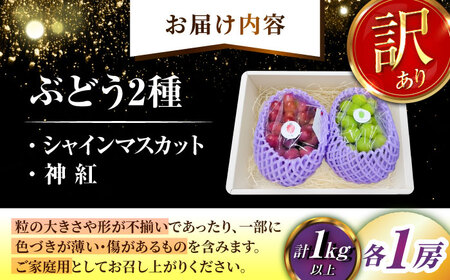 【2026年8月初旬頃から順次発送】【訳あり】神紅・シャインマスカット 各1房 [AIAA005]
