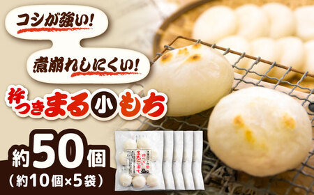 餅 杵つきまるこもち 300g 5袋セット（50個）[AIBB016]