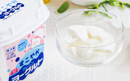 プレーンヨーグルト14個セット [AIBH034] ヨーグルト