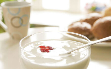 プレーンヨーグルト14個セット [AIBH034] ヨーグルト