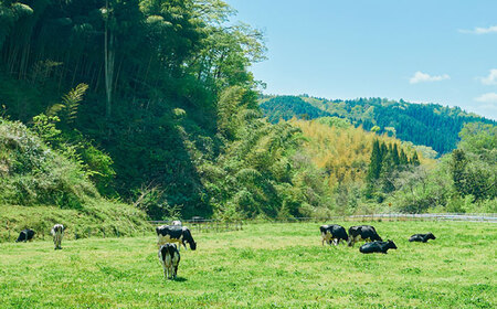 プリン 木次ミルクのプリン12個セット [AIBH035]