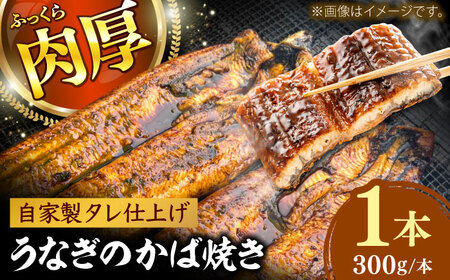 魚 鰻のかば焼き 1本 [AIEH004]うなぎ