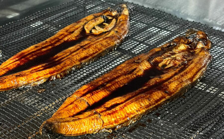 魚 鰻のかば焼き 1本 [AIEH004]うなぎ