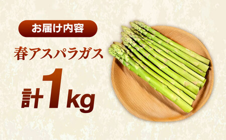 【先行予約】【2026年4月以降発送】春アスパラガス 1kg 島根県雲南市/tasten 野菜 アスパラ 数量限定 10個[AIEJ001]