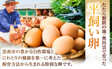《月2回 × 10個 1ヶ月コース》 たたらの里平飼い 彩り天佑卵 全2回定期便 島根県雲南市/株式会社たなべたたらの里（たなべ森の鶏舎）｜たまご 卵 放牧卵 平飼い卵 新鮮 国産 定期便[AIDL016]